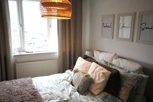 Photo 3- click for photo gallery